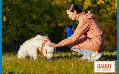 3 Ways to Make Caring for Your Pet More Affordable