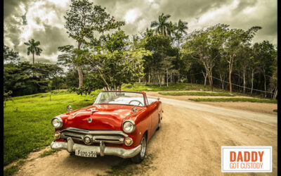 3 Basics You Need to Know About Your Car